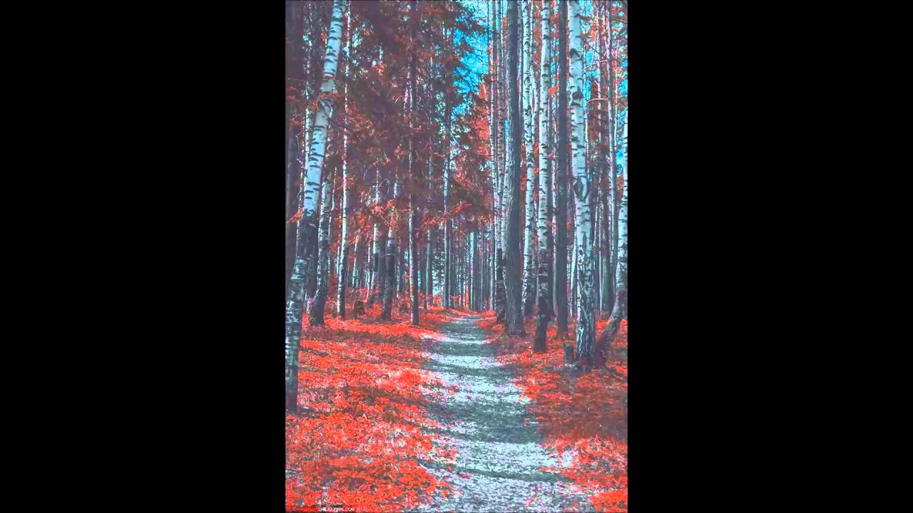 Crematory - Visions