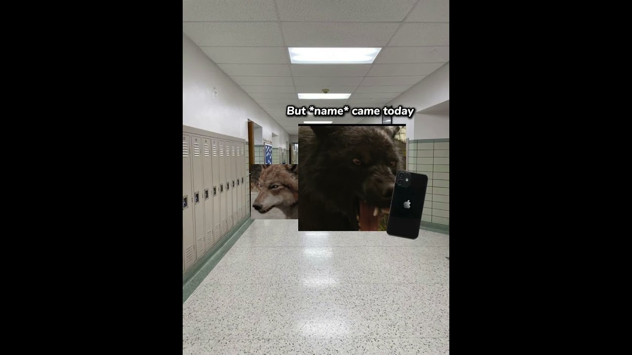 Sam Uley, Paul Lahote, & Jacob Black in school be like #wolves #hcde #hilllearningcenter