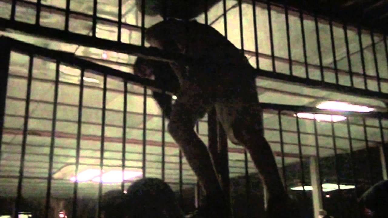 STUPID GAME 3 : BUCHAREST