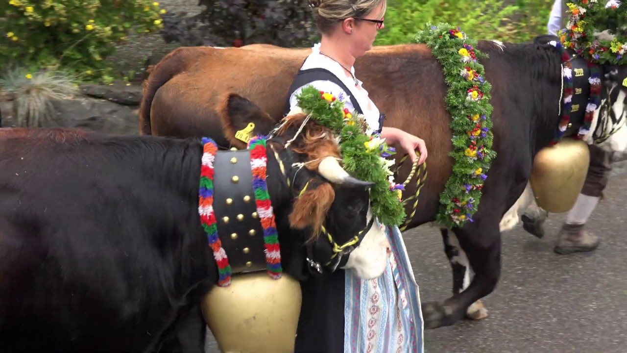 Viehscheid Röfleuten 2018  4K Video