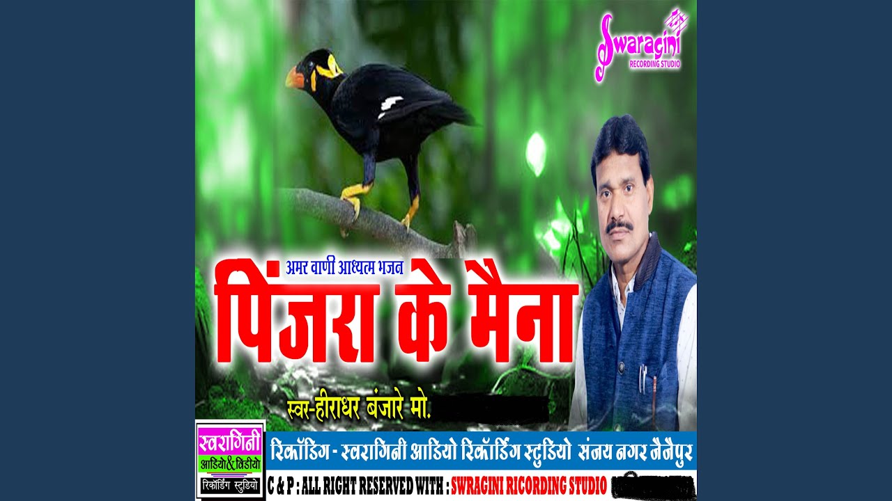 Pinjra Ke Maina
