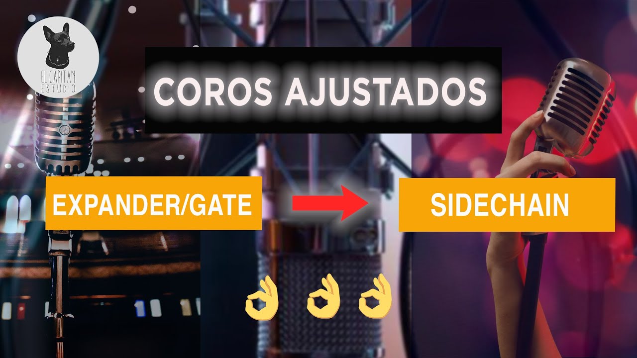 CÓMO USAR EXPANDER GATE CON SIDECHAIN PARA OBTENER COROS BIEN APRETADOS