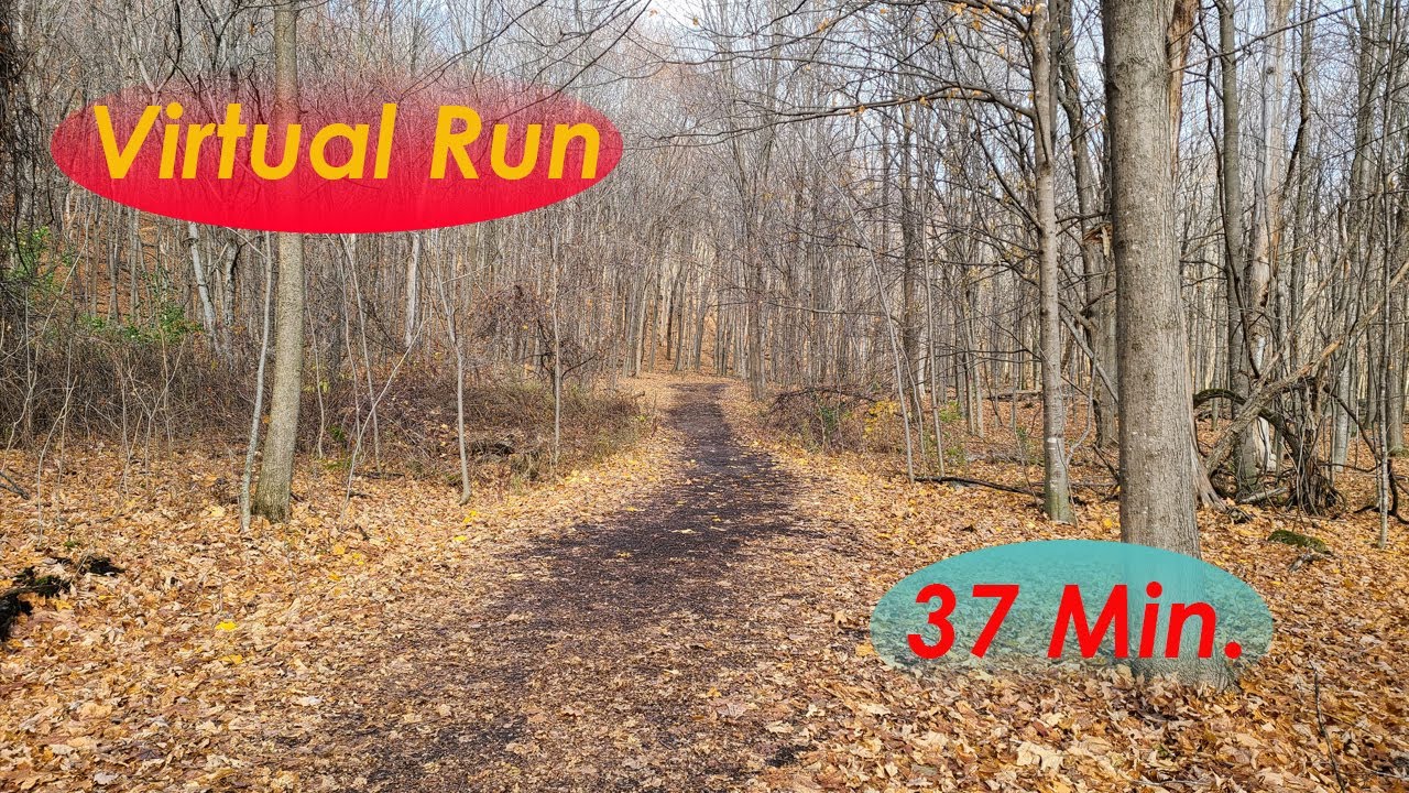 Virtual Run - Video for Treadmill - Fall Forest Trail