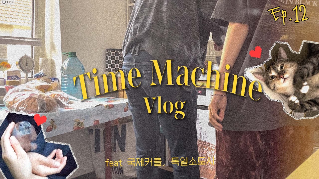 🇩🇪바야흐로 짝찟기와 생명탄생의 계절..: 정체불명의 아기새 구조(반전⚠️) 사랑이 하고픈 고양이와 집지키기😻 생애 첫 늪..구경🤢 창밖, 우리만의 루프탑🤫 당근 부침개와 찜닭🍽️