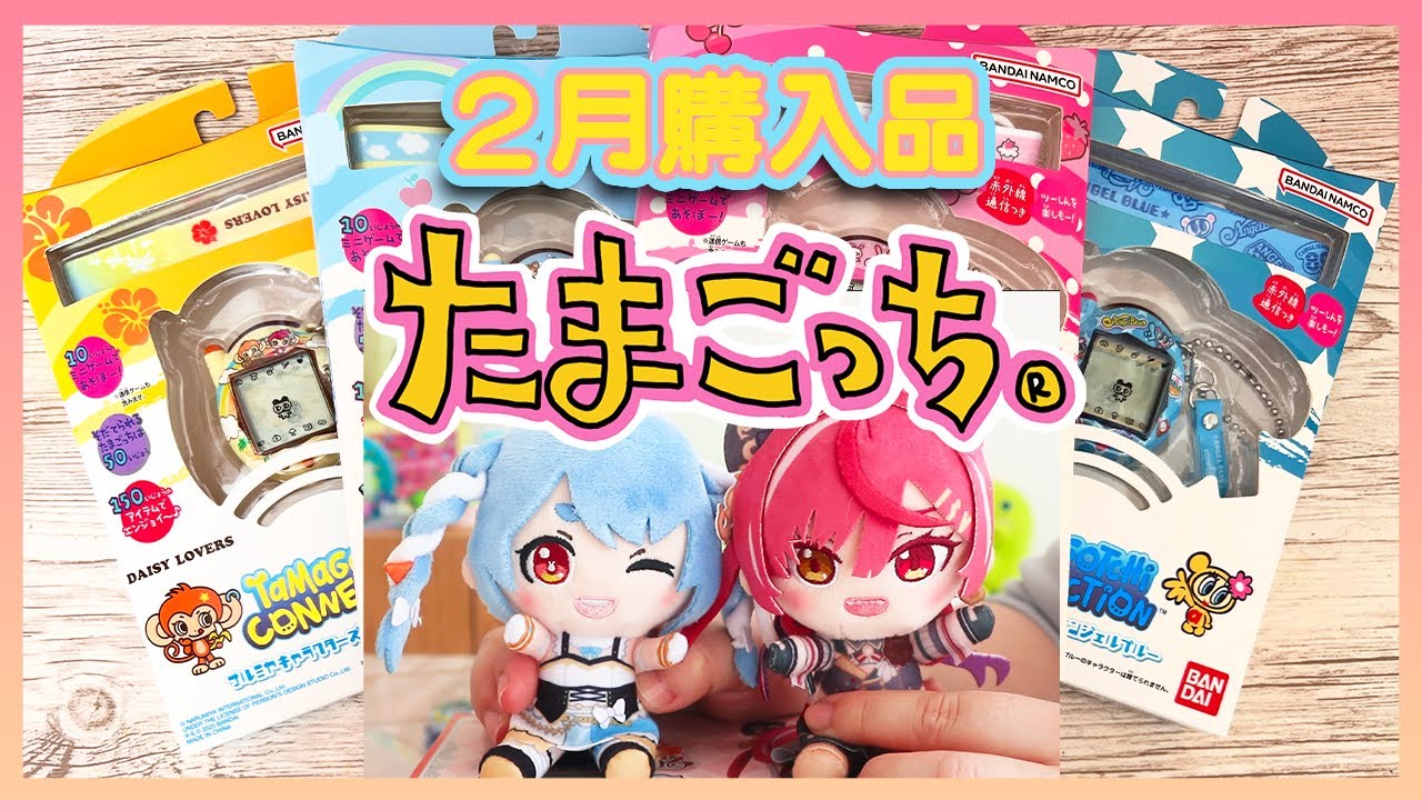 【買ったまご】ナルミヤたまごっちの入手が困難⁉️ホロオタになったあいぼん