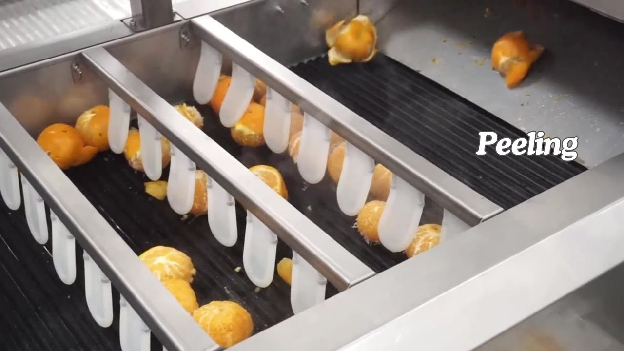 Mandarin Orange Peel Processing Line | Tangerine Peels Washing Peeling Line