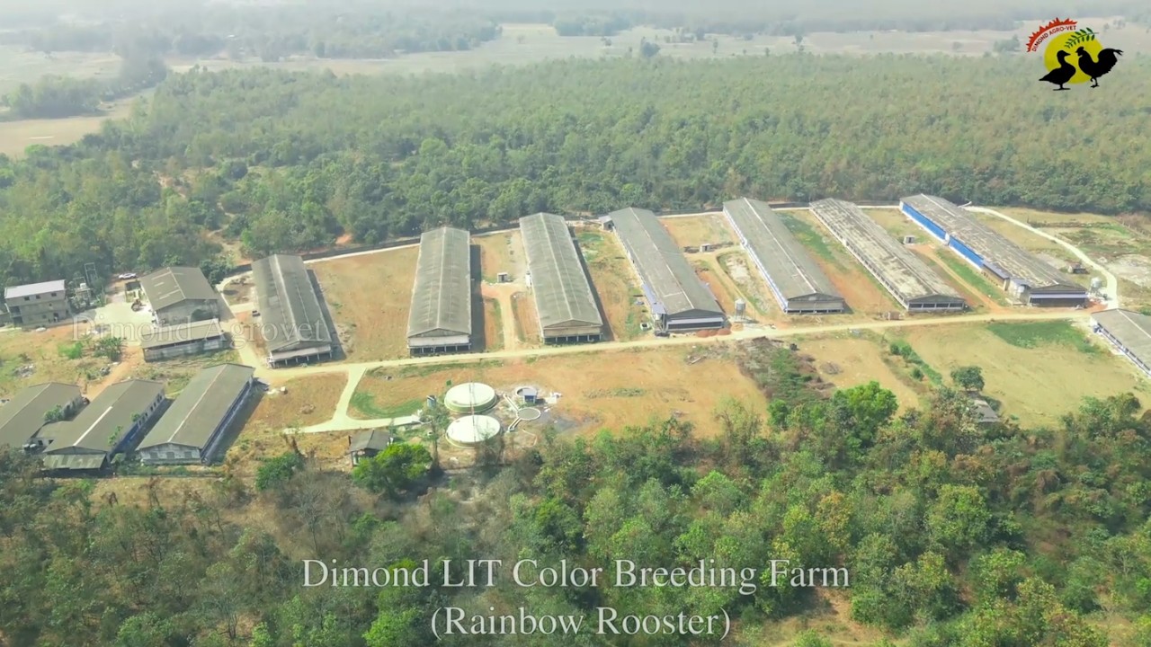 Dimond Breeding Farm & Feed Unit