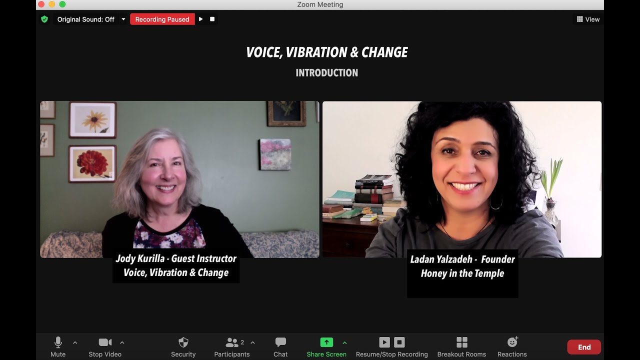 VOICE, VIBRATION & CHANGE WORKSHOP INTRODUCTION