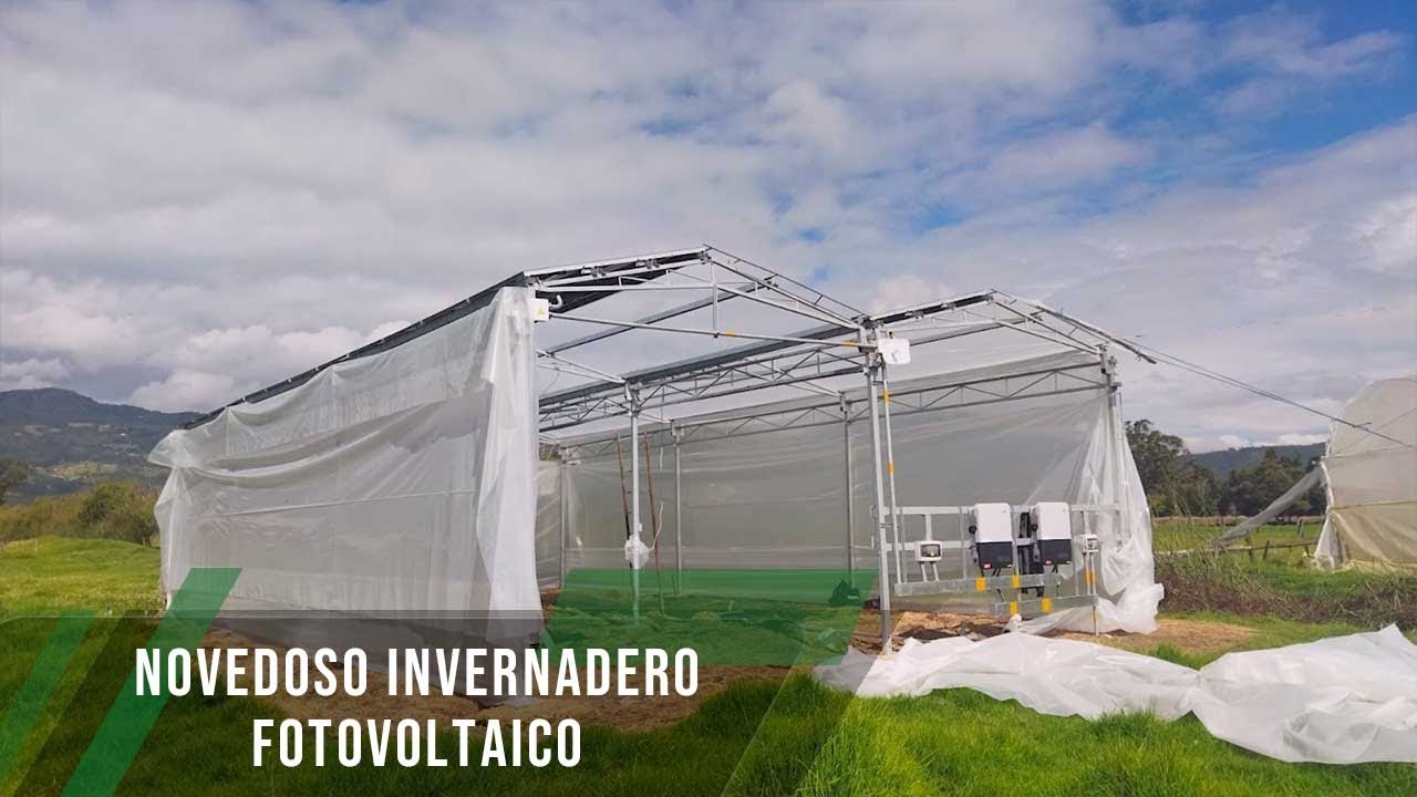 Novedoso invernadero fotovoltaico - TvAgro por Juan Gonzalo Angel Restrepo