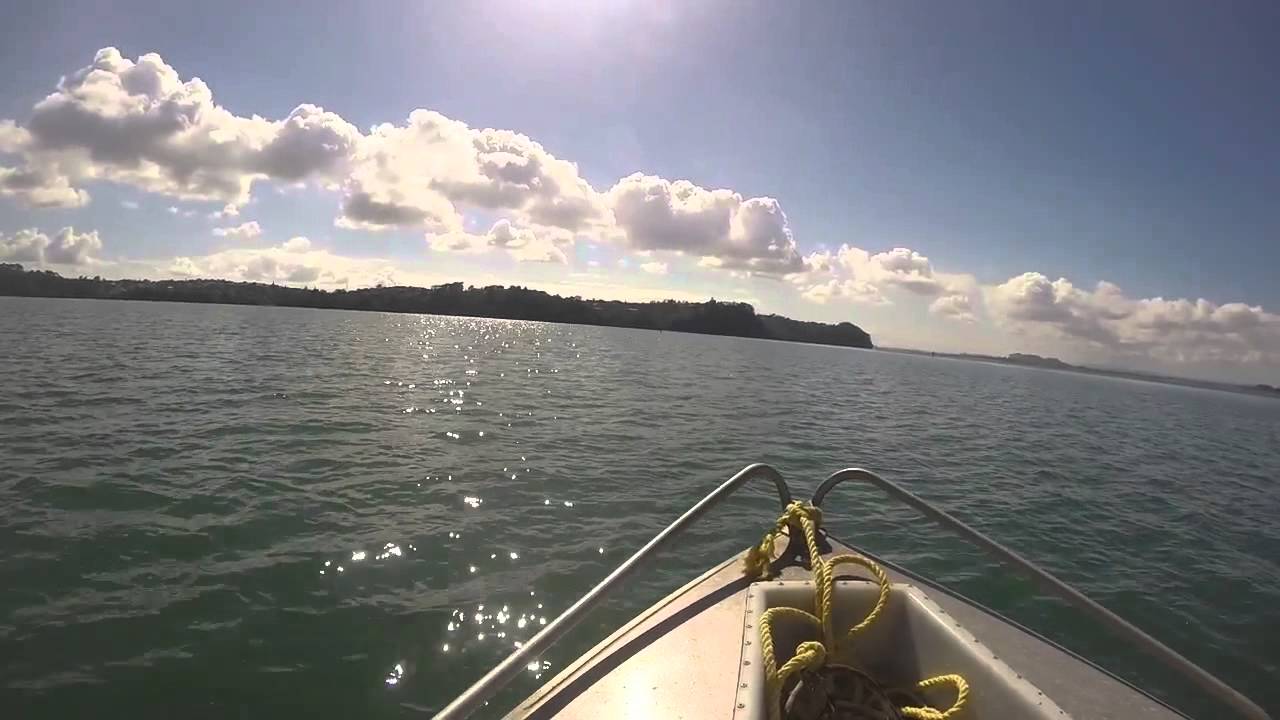 Fyran 440 on the Manukau Harbour