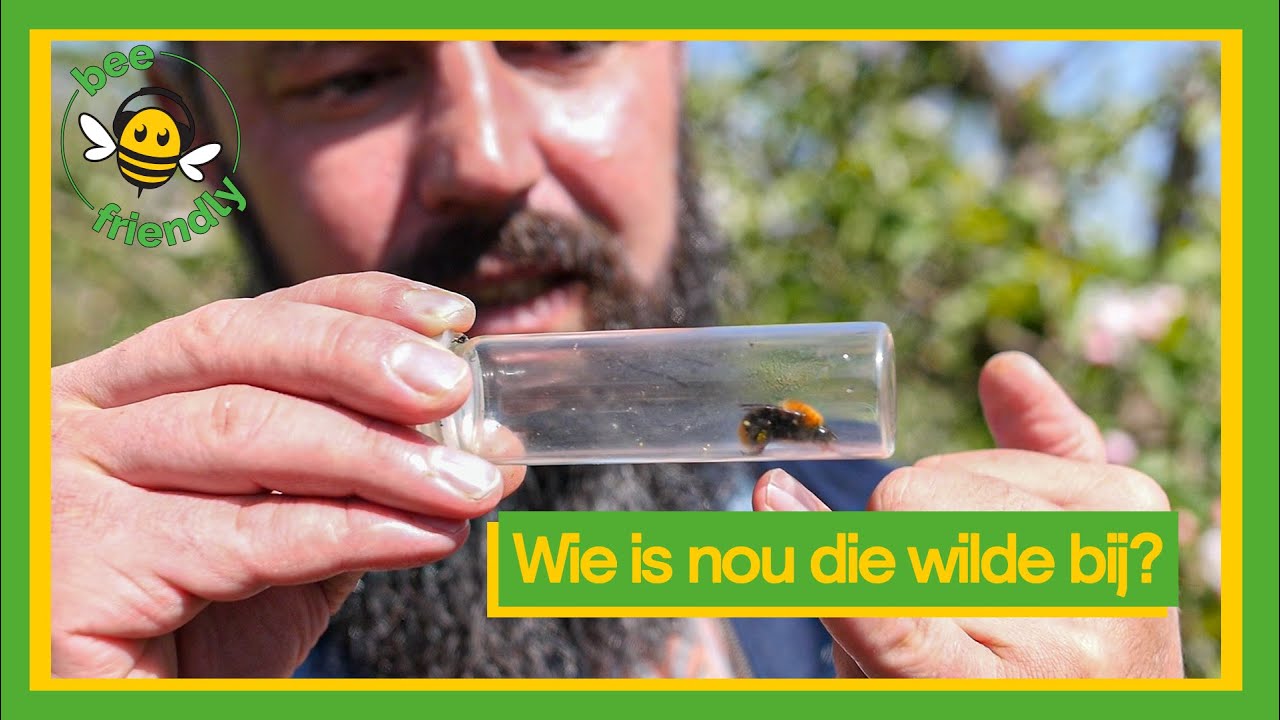Bijenpraat | Help de Wilde Bij! #3