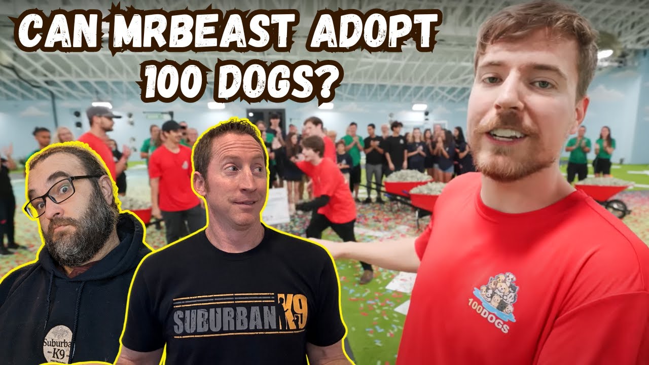 MrBeast усыновляет 100 собак — реакция кинологов!