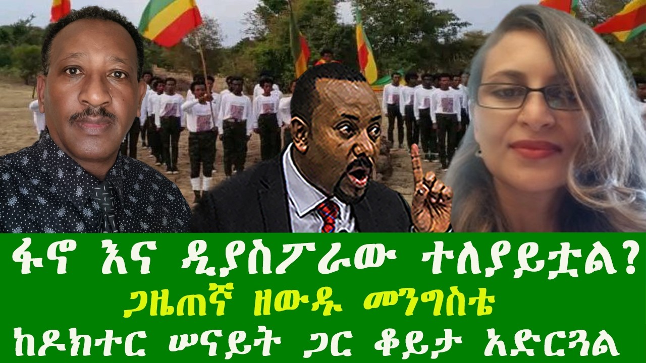 ፋኖ እና ዲያስፖራው ተለያይቷል?  ጋዜጠኛ ዘውዱ መንግስቴ  ከዶክተር ሠናይት ጋር ቆይታ አድርጓል Zewdu show 130326