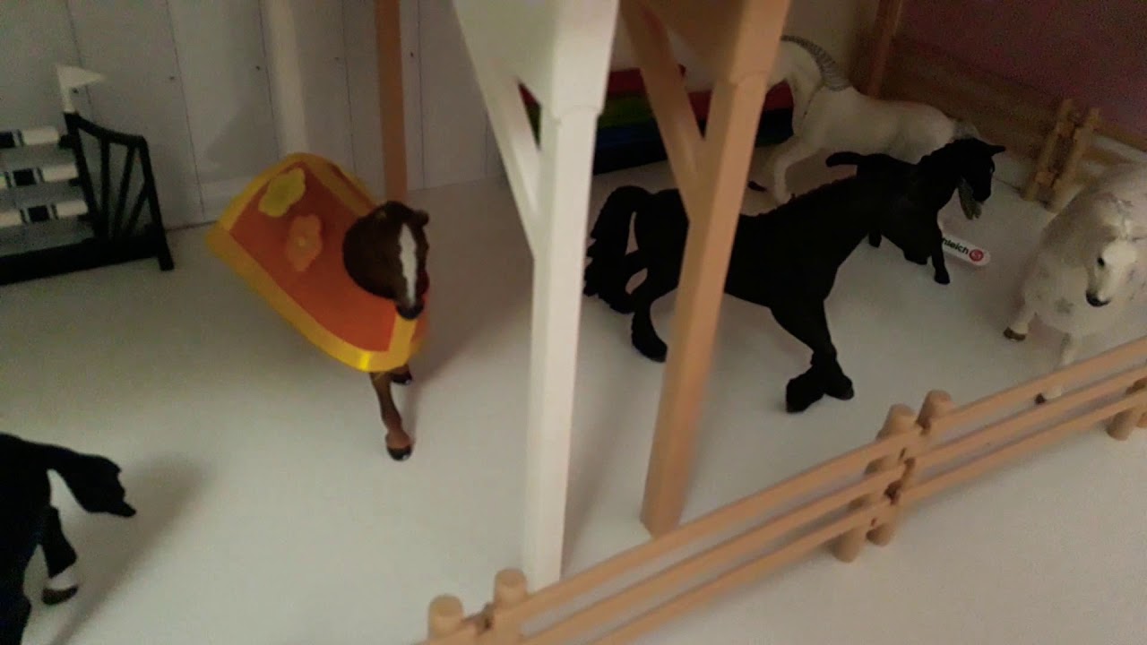 Schleich music video-just a dream