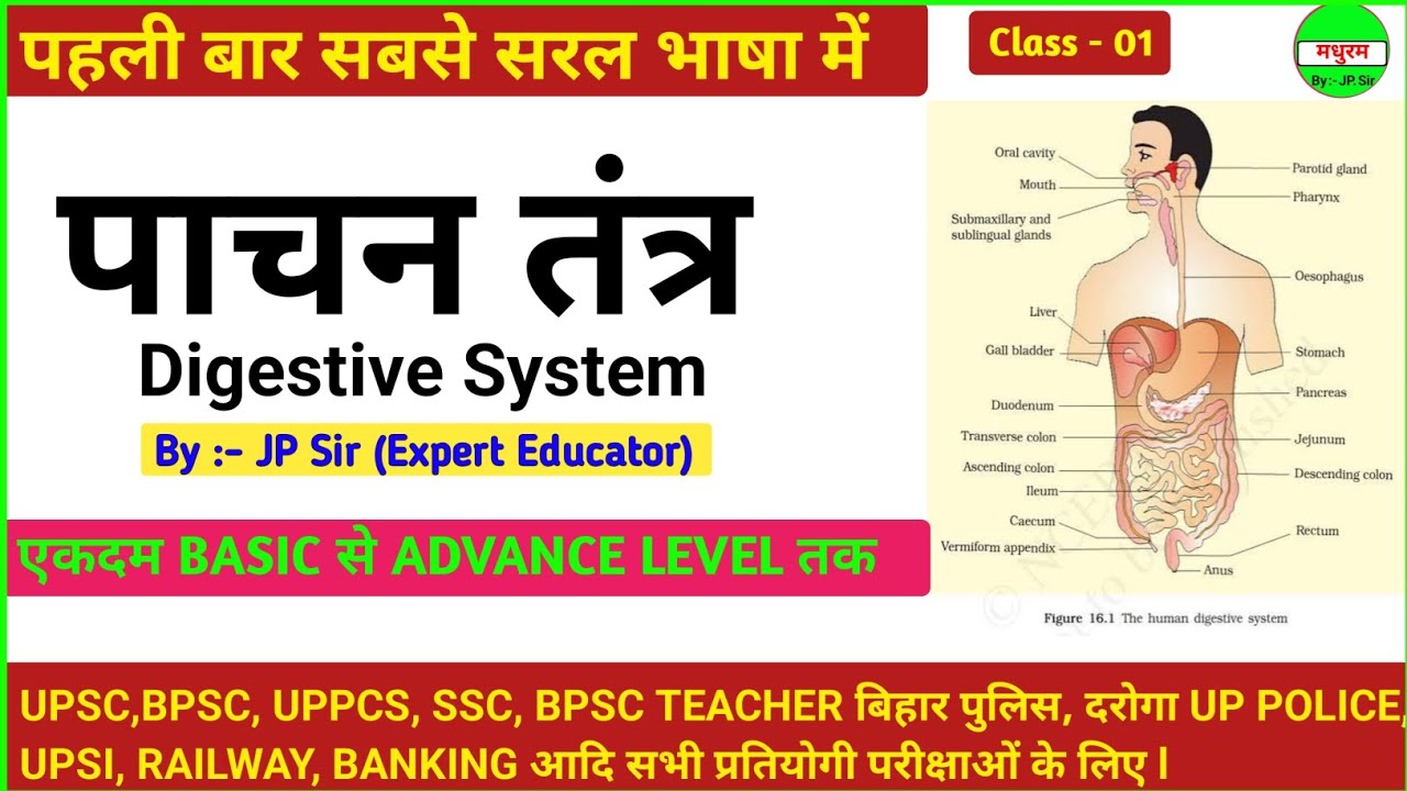 Digestive System I पाचन तंत्र|By:- JP Sir|Madhuram|#gk #gs #trending #viral #exam #jpsir #tricks 