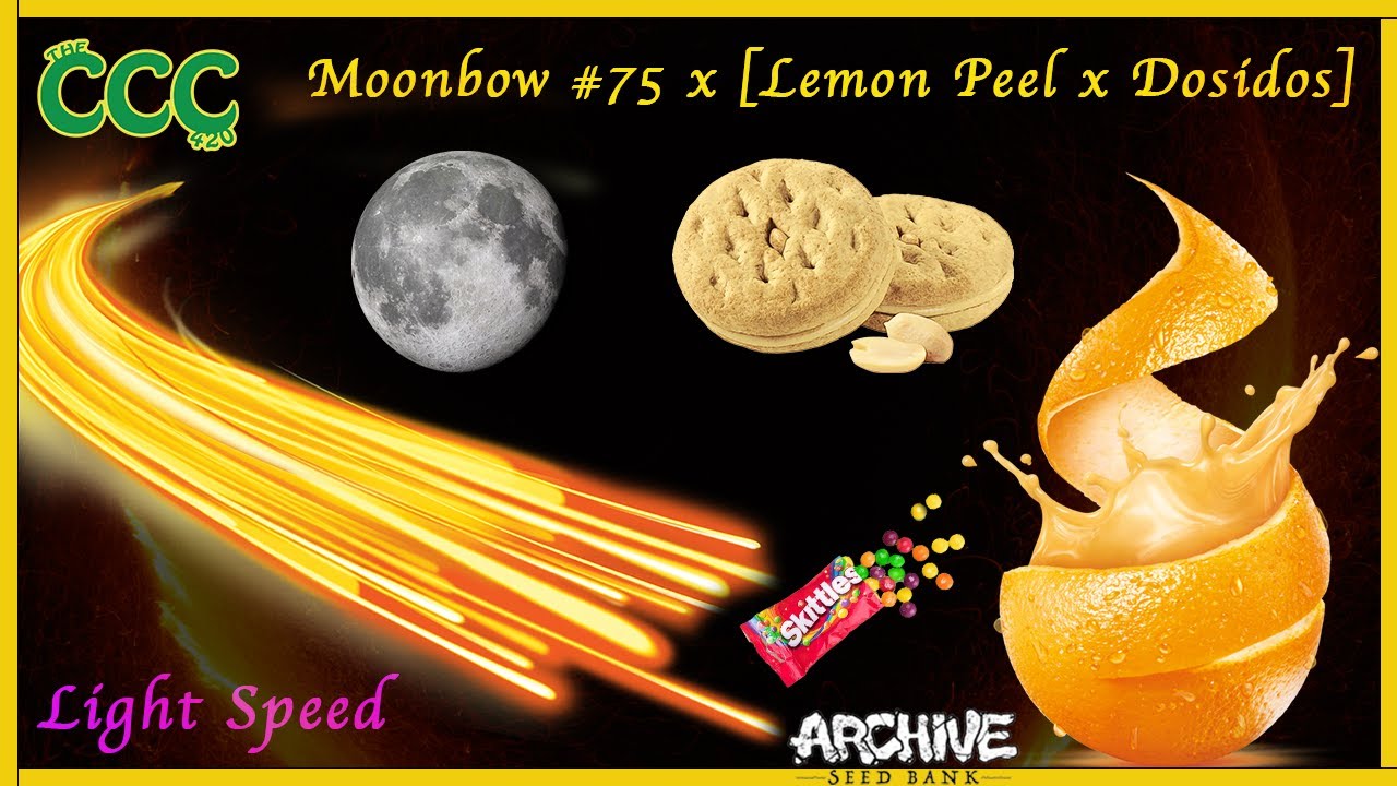MOONBOW 75 X [ Lemon Peel x Dosidos ] | Light Speed