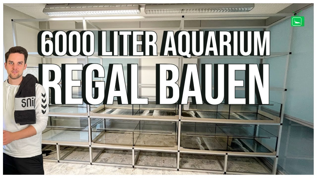 6000 Liter Anlage - Regalbau und Aquarien | AQUARIENANLAGE | GarnelenTv