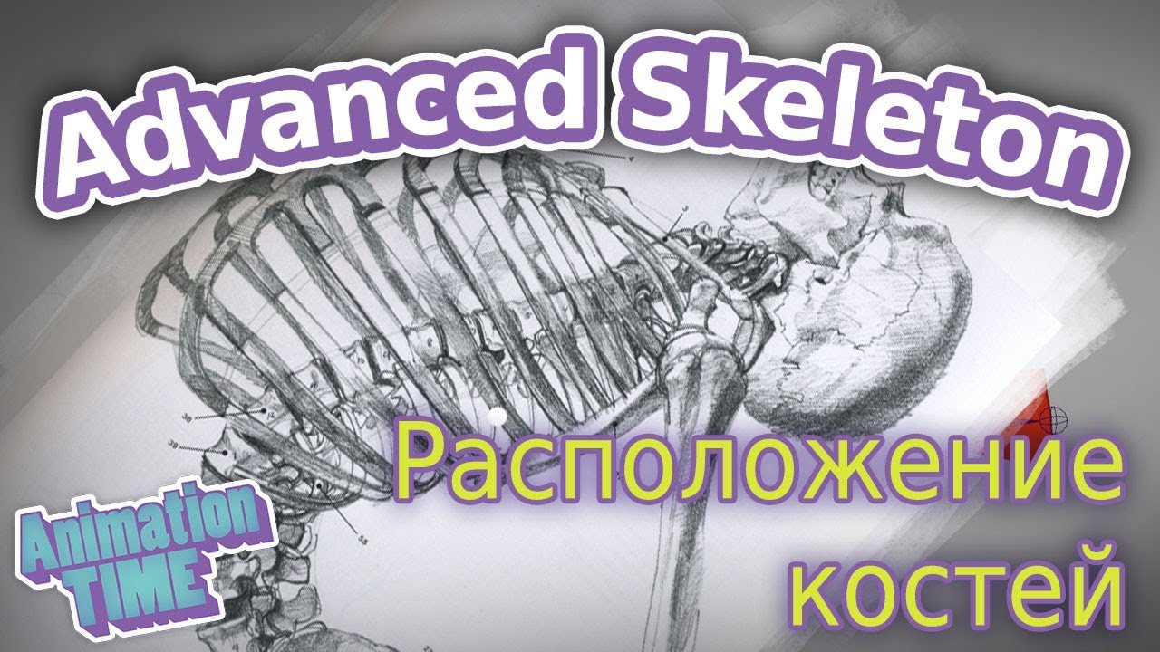 Корректное расположение  костей в скелете | Correct joints placement