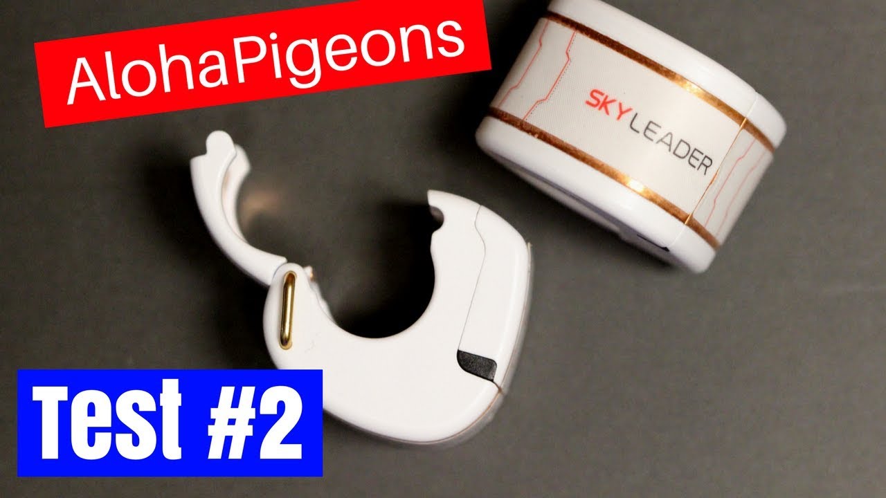 2nd SKYLEADER GPS Homing Racing Pigeon Test