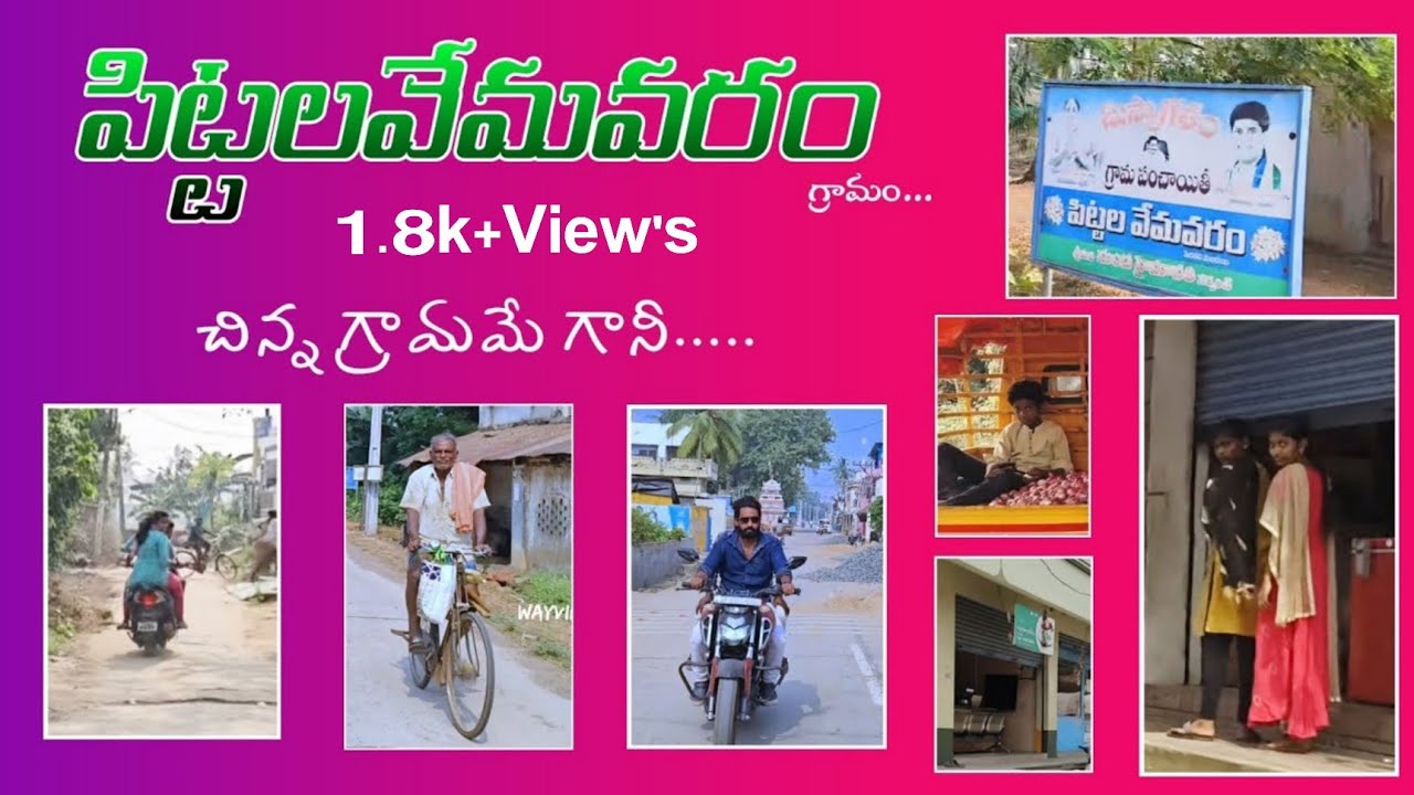 పిట్టలవేమవరం  ||  #Pittalavemavaram Village || Beautiful Village || WAY VIEW