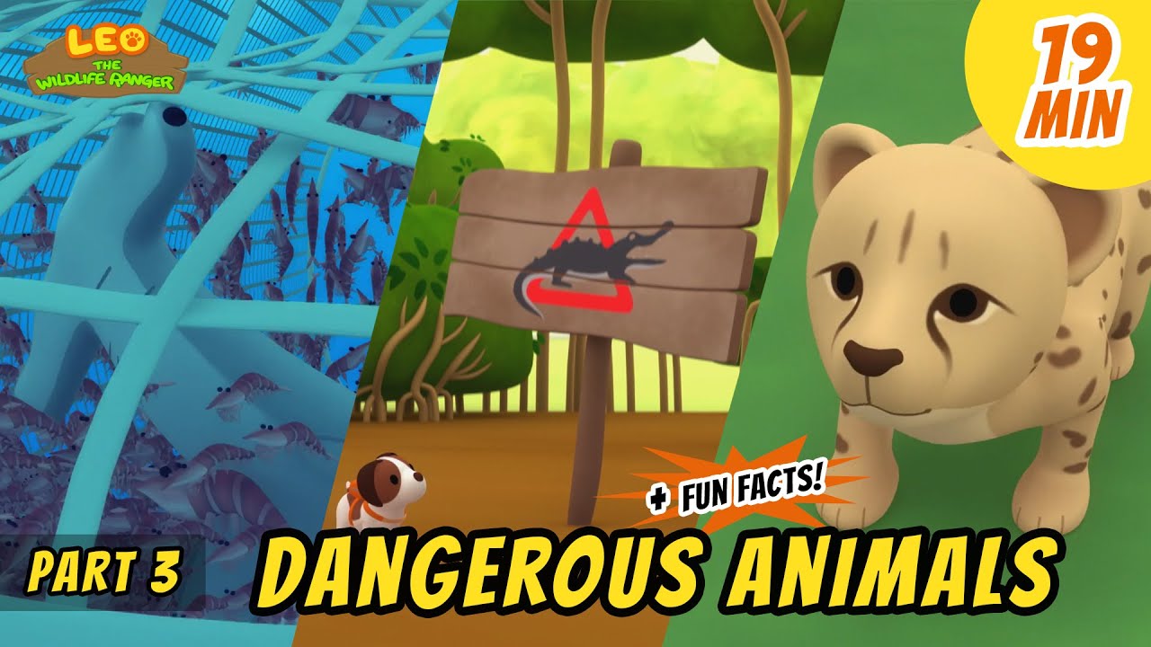 Dangerous Animals (Part 3/3) - Animals Stories for Kids | Educational | Leo the Wildlife Ranger