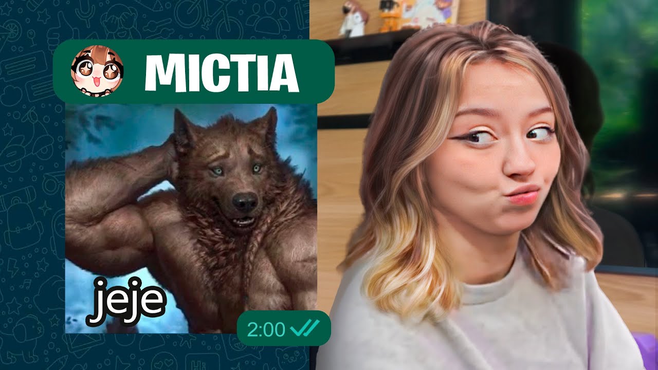 ADIVINA el STREAMER por el STICKER que más UTILIZA