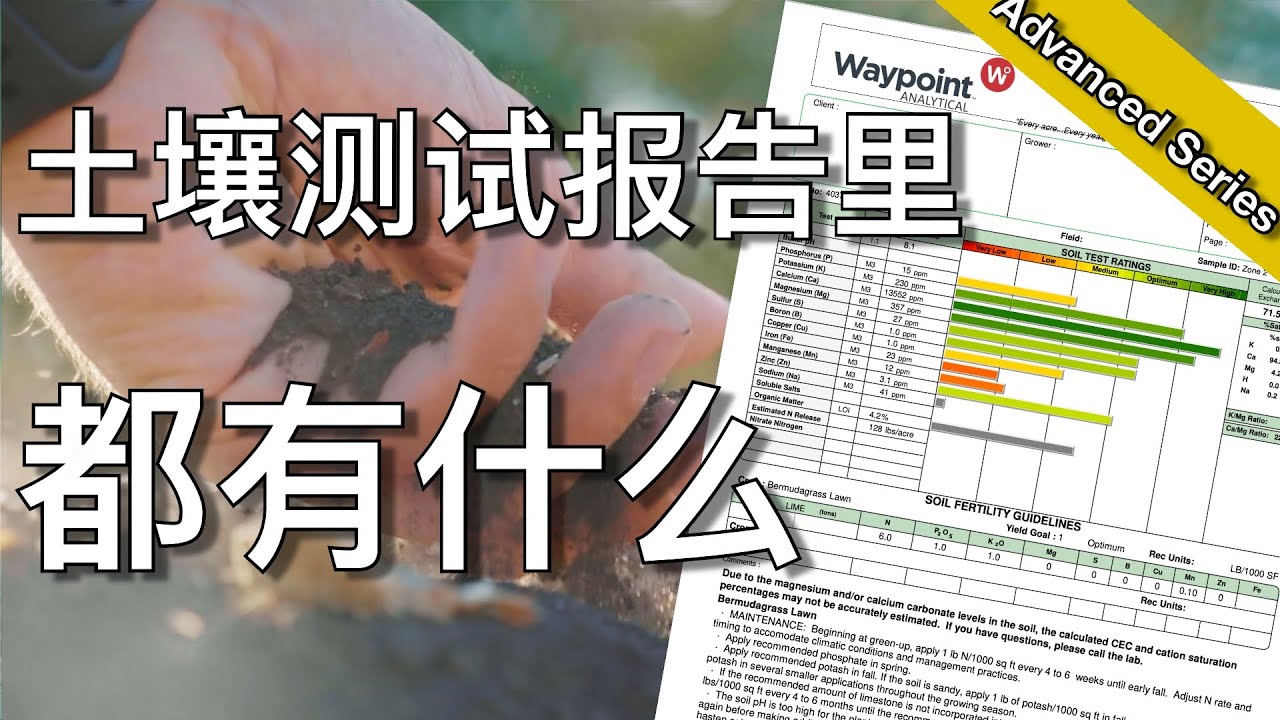 生石灰？液态钾？ 新的种植季到底要用什么样的草坪肥料 - 读懂土壤测试报告就知道了 - how to read a soil test report | KK和Kathy 的后花园