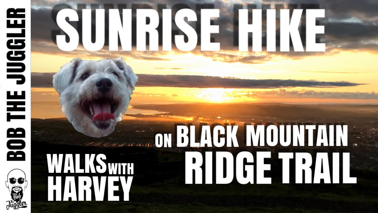 Walks with Harvey - Sunrise on Black Mountain Ridge Trail, Belfast Walks