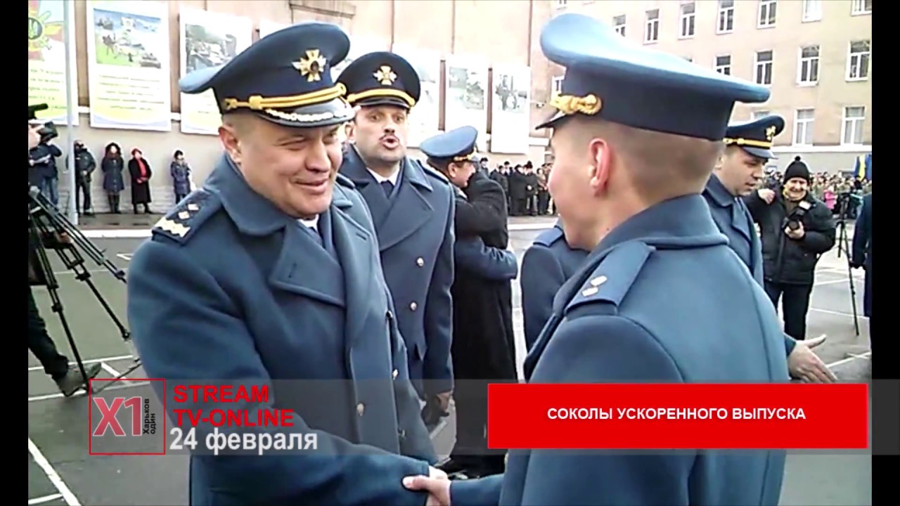 Соколы ускоренного выпуска