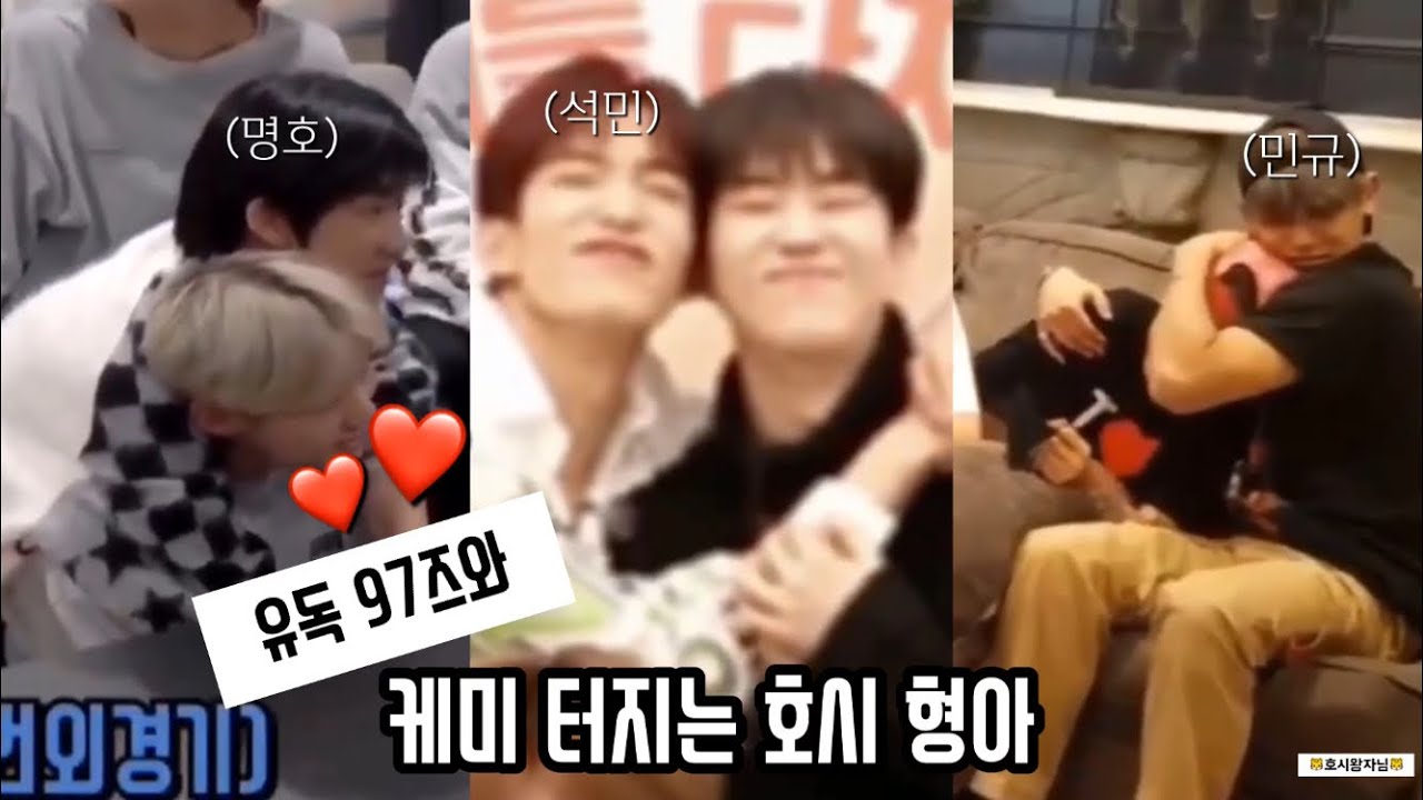 [세븐틴/호시/디에잇/도겸/민규]유독 97즈와 케미 터지는 호시 형아