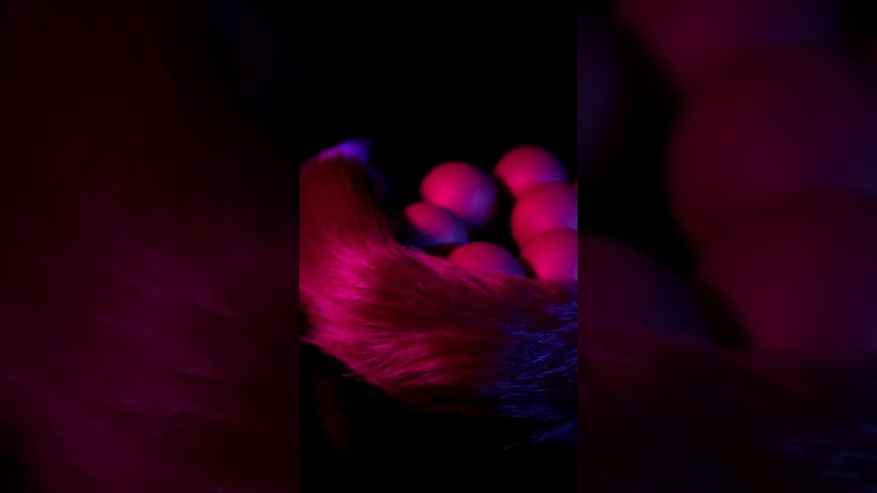 【9 Balls Anal Beads】