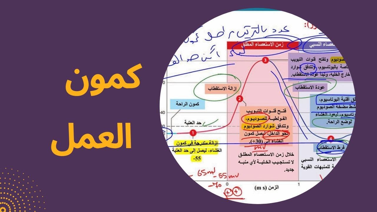 علوم بكالوريا سورية الدرس الخامس -3 كمون العمل