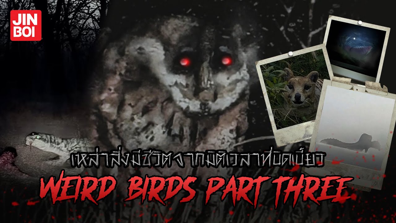 20 Creatures from the Distorted Time Dimension Weird Birds Part 3