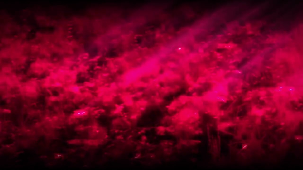 The Recyclist  - A million digital roses