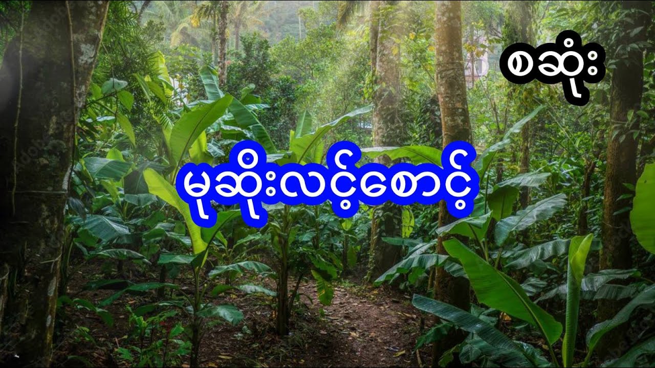 မုဆိုးလင့်စောင့် - စဆုံး