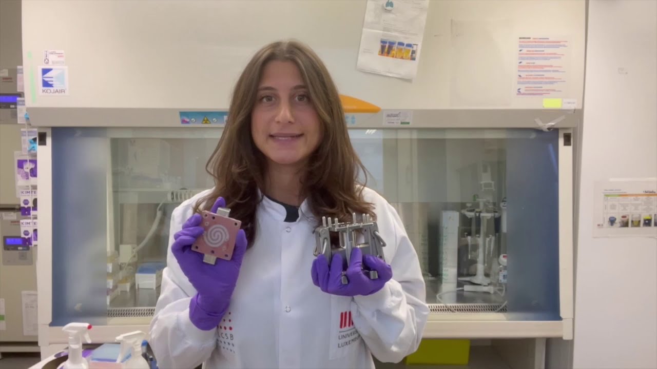 Organ-on-Chip and the 3R: A virtual lab tour