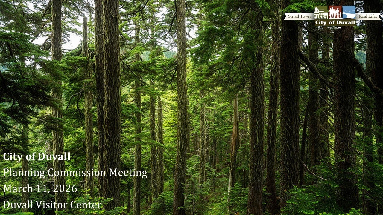 March 11, 2026 Meeting of the Duvall Planning Commission