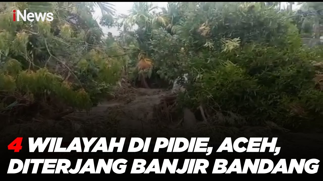 Sungai Meluap, 4 Wilayah di Pidie, Aceh, Diterjang Banjir Bandang #iNewsPagi 31/10
