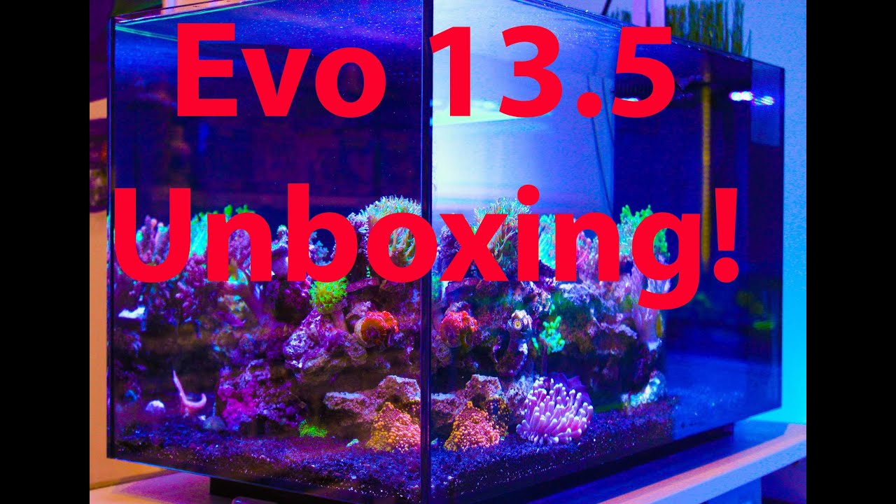 Fluval Evo 13.5 unboxing and set up