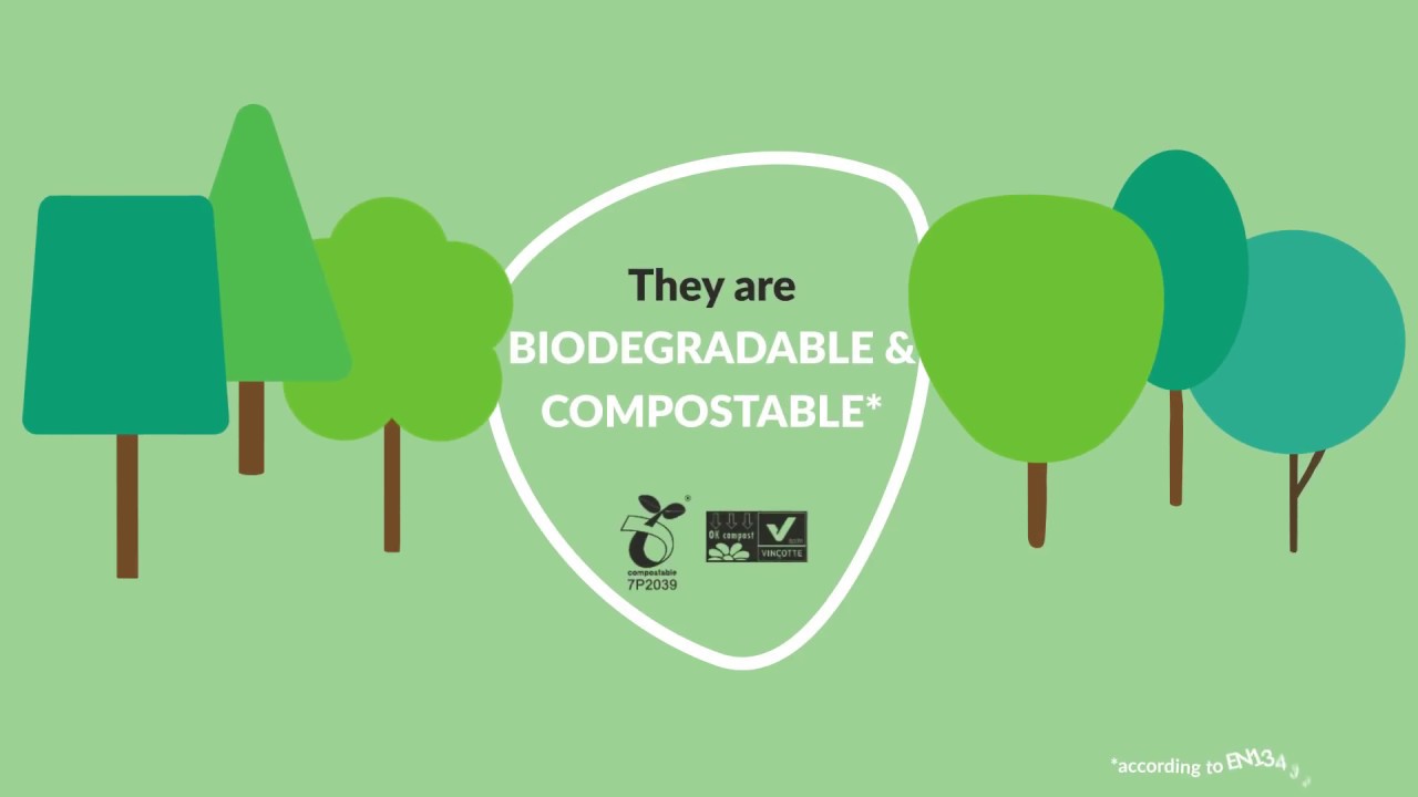 (EN) Compostable tableware & Rebranding Ecozema 2017