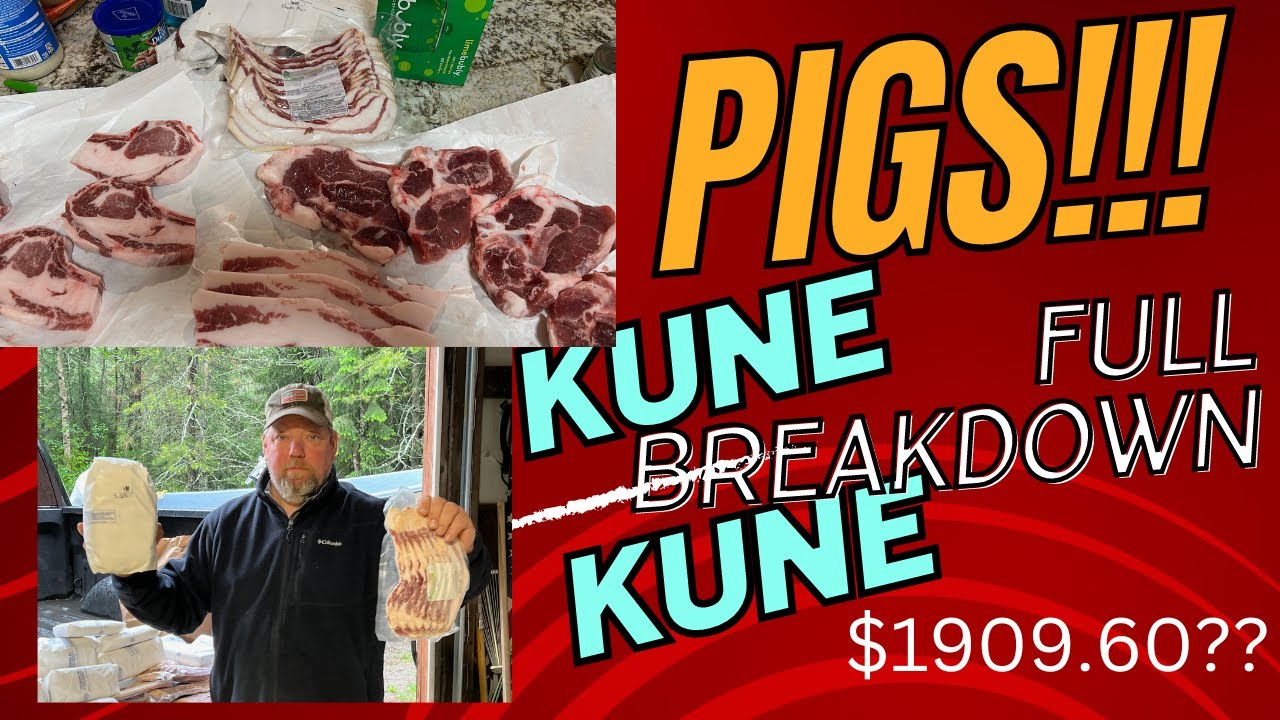 Kune Kune Pigs Cost Breakdown and meat yield full breakdown.  Was it worth it?