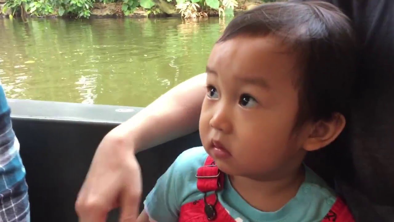 Hong Kong Disneyland Jungle River Cruise 香港迪士尼樂園森林河流之旅 Family Fun 香港ディズニーランド