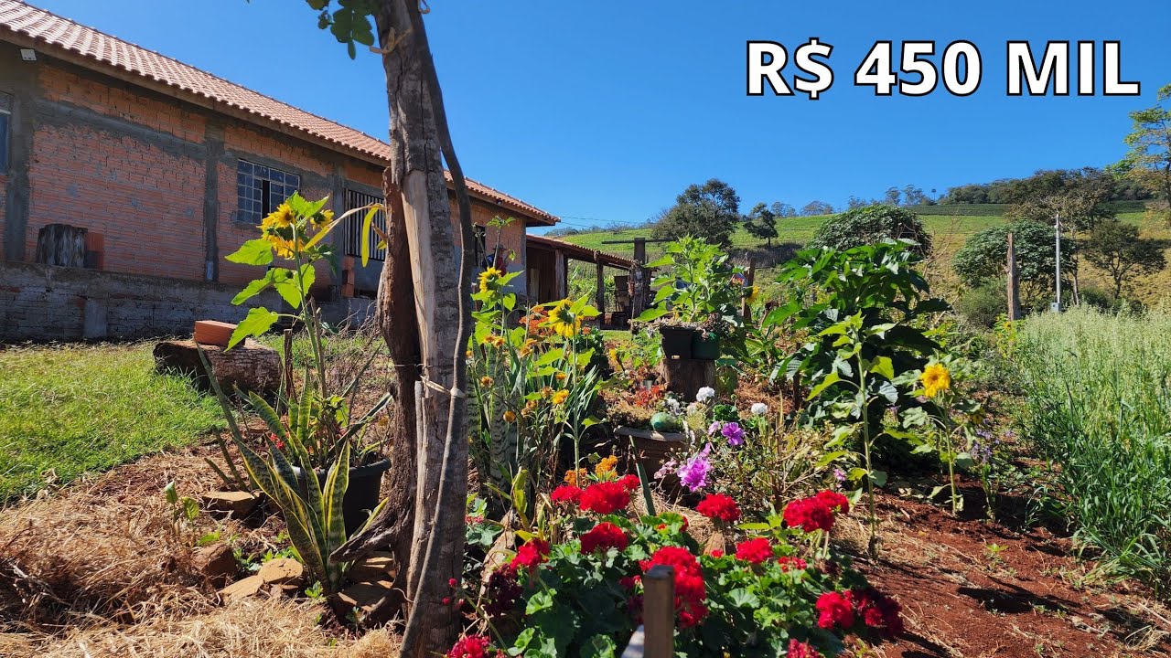 CHÁCARA TERRA ROXA CASA NOVA PANORÂMA PASTO LAVOURA R$ 450 MIL-Código:1808