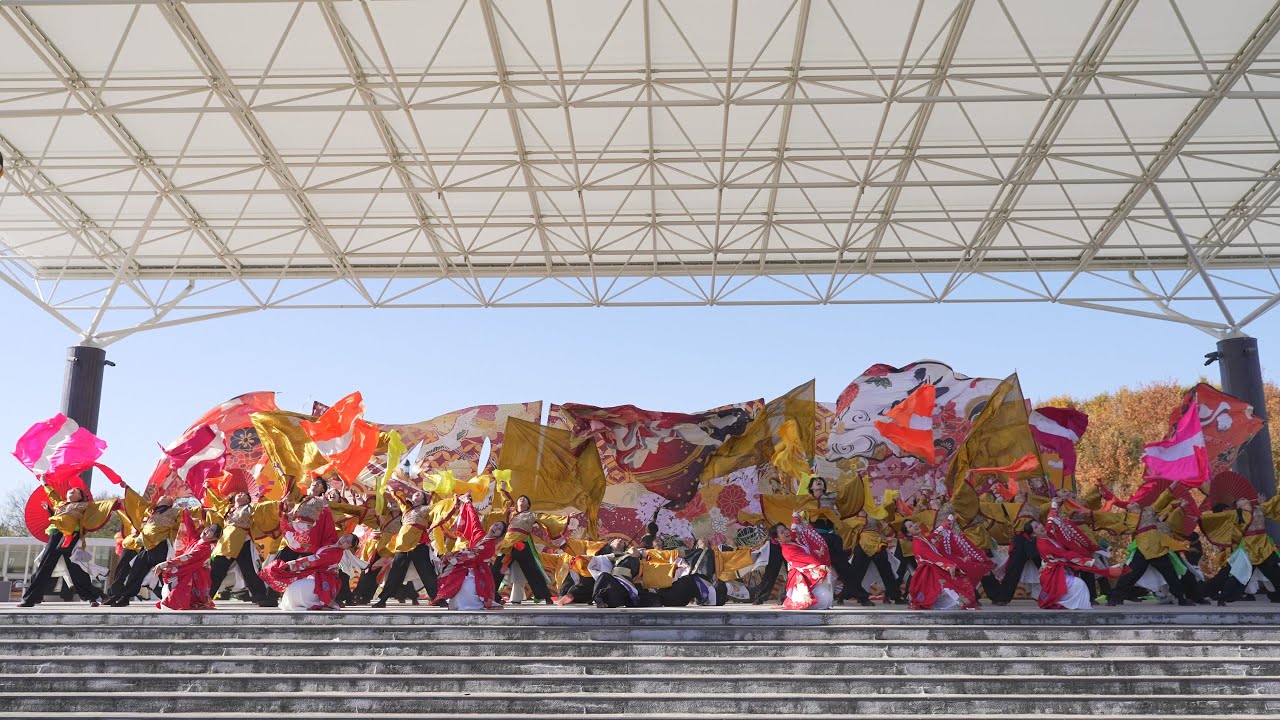 [4K] 京都よさこい連心粋 　にっぽんど真ん中祭り どまつりinモリコロパーク 2025 秋のどまつり(秋どま) 日曜日