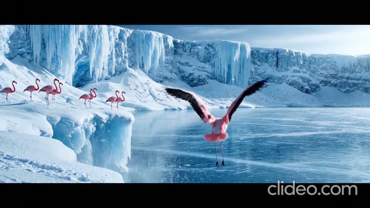 The Secret Life of Flamingos | Nature Documentary in 4K