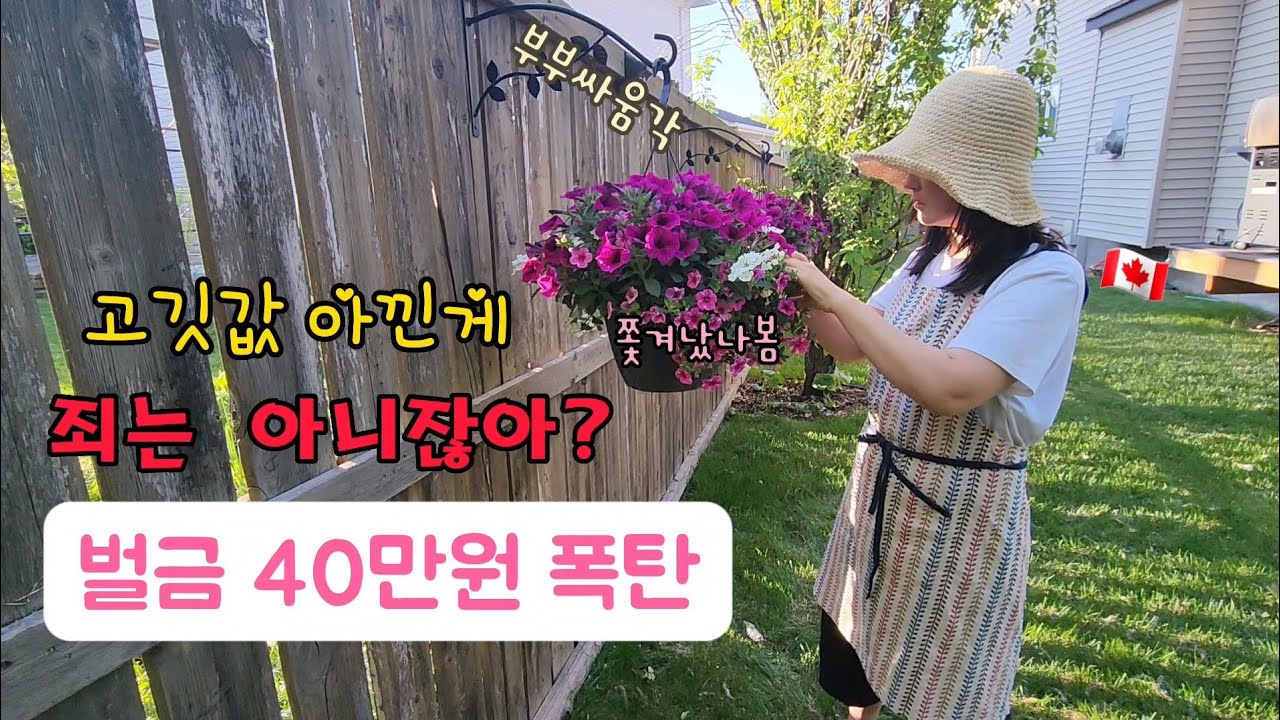 생계Vlog) 지출총량의 법칙 | 신호위반 405불 딱지, 니가 벌어서 내!
