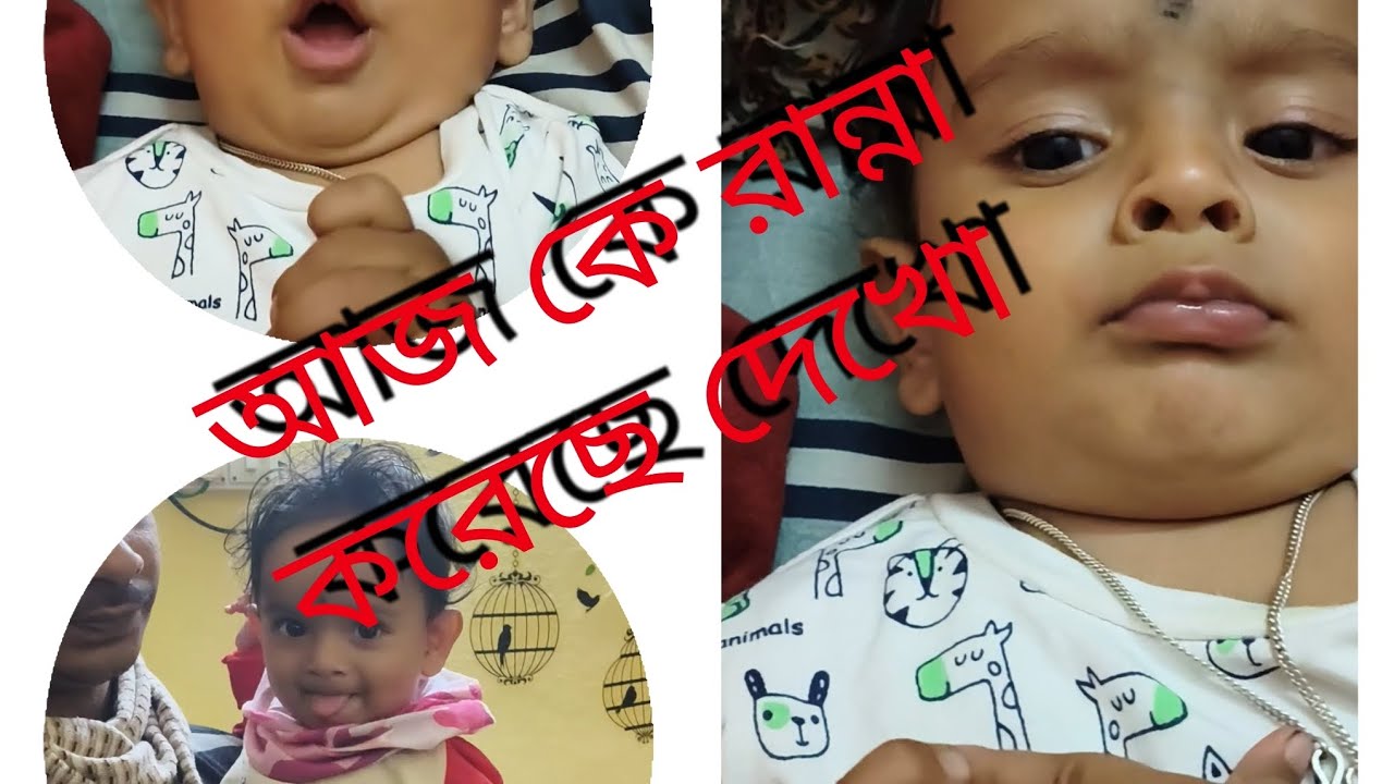 আজ ঘুরতে নিয়ে যায়নি 😔#minivlog #krishnabloger 