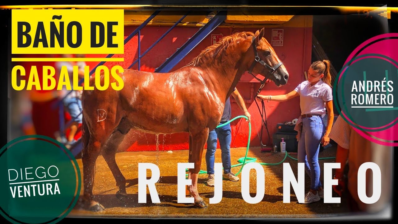 CABALLOS DE REJONEO 💧| BAÑO |DIEGO VENTURA, ANDRÉS ROMERO Y SERGIO GALÁN | COLOMBINAS 2025