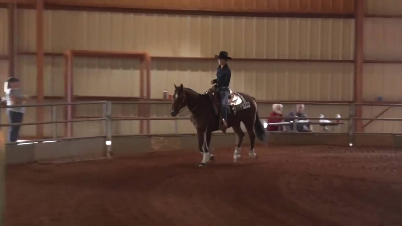 161002 Robin Foster on Smart Mates Wrangler SS