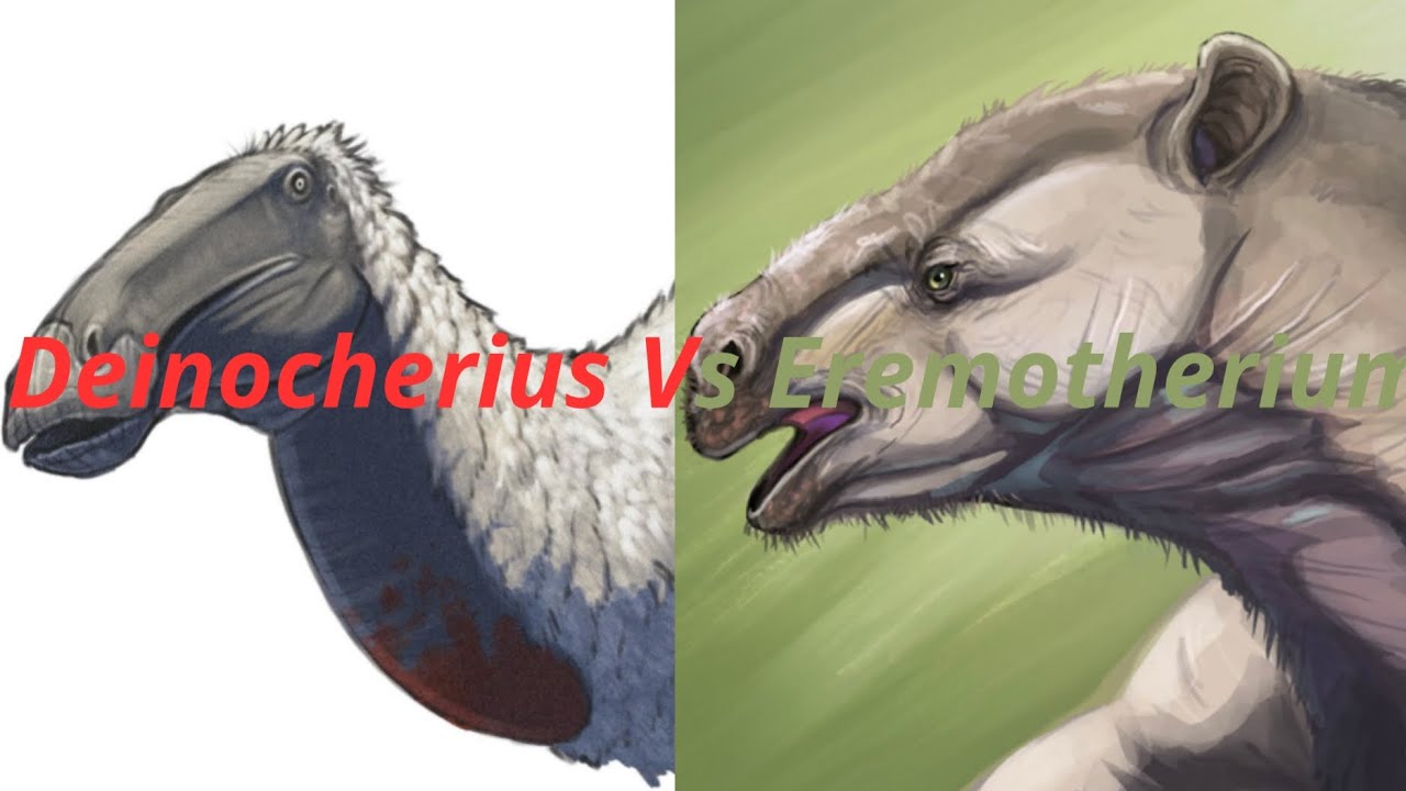 Deinocherius VS Eremotherium 